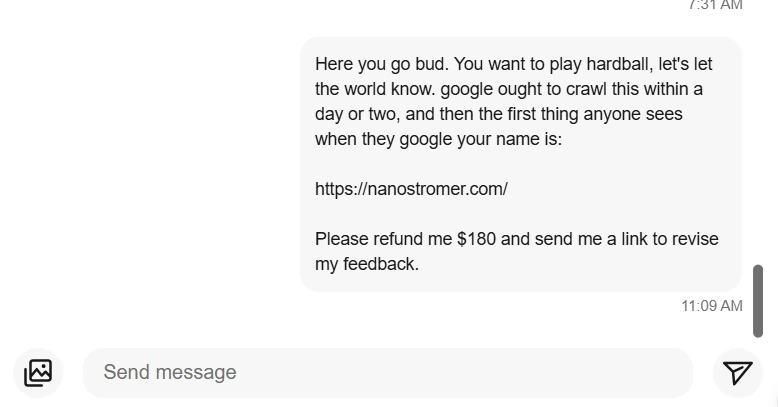Final eBay message to nanostromer regarding the refund request and this website